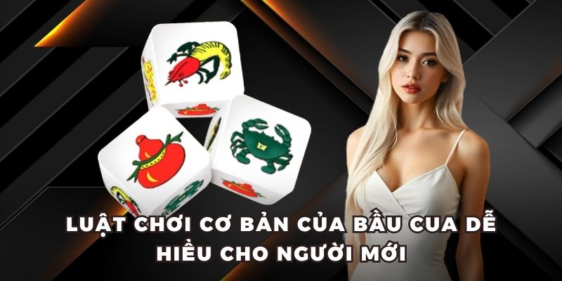 Luật chơi cơ bản của bầu cua dễ hiểu cho người mới